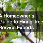 A Homeowners Guide to Hiring Tree Service Experts