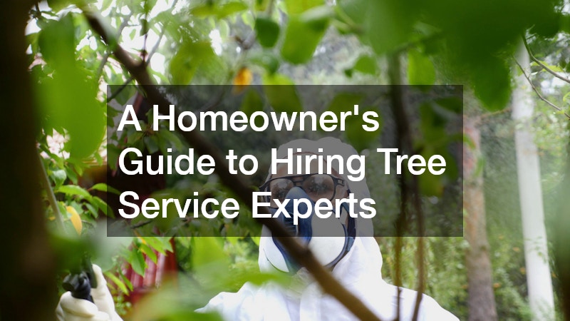 A Homeowners Guide to Hiring Tree Service Experts